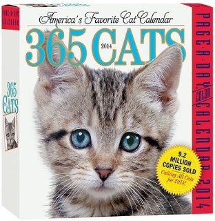 365 Cats   2014 Page a Day Calendar   Office Desk Pad Calendars