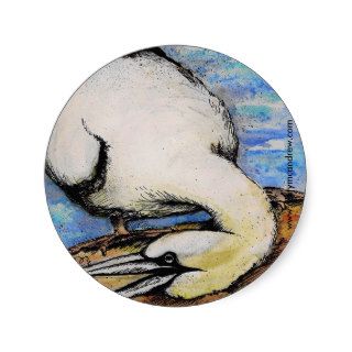 Gannet   Bird Stickers