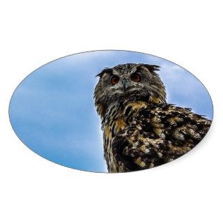 Owl Bird Feathers Animal Nature Destiny Peace Love Sticker
