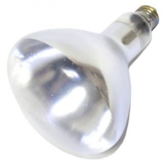 Trojan 04311   375R40/CL/HL/STC TEFLON HT Heat Lamp Light Bulb   Incandescent Bulbs  