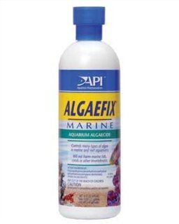 API Algaefix Marine, 16 Ounce  Aquarium Algae Scrapers 