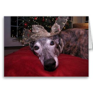 Christmas Greyhound Cheer Cards