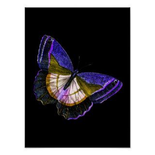 Vintage Purple and Gold Butterfly Illustration Poster
