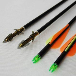 Buffalo Fiberglass Arrows Precision 31" for Outdoor Junior with Sharp Yellow Blades Unique Group for Archery 12PCS  Sports & Outdoors