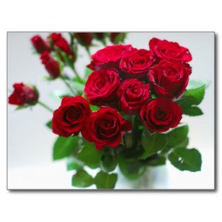 bunch of red roses post cards