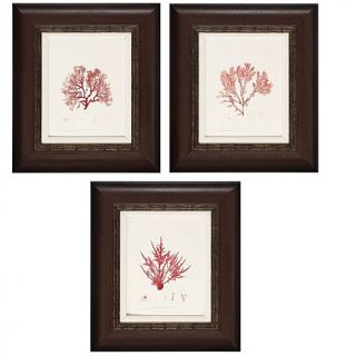 Nature's Coral Framed Wall Art Prints, 17 x 20in   Set of 3