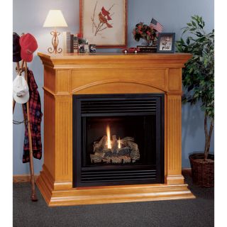 Comfort Flame Natural Gas Fireplace — 32in., Model# CGDV32NR