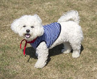 striped dog's sailor tank top by noah's ark