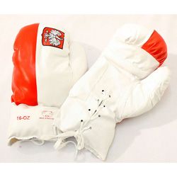 Defender 16 ounce Polish Flag Boxing Gloves