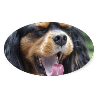 Yawning Cavalier King Charles Spaniel Oval Stickers