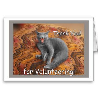 Thank You for Volunteering Gray Cat Greeting Card