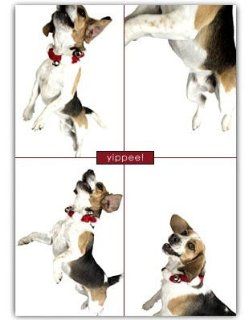 Funny Beagle Dog Jumping Christmas Holiday Greeting Cards 10 Pack Gifty Idea  Pet Care Products 