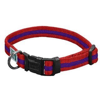 Animal Planet Quick Snap Cushy Pet Collar 1 in Large (18 in to 26 in) Red / Purple  Cat Collar Metal Clasp 