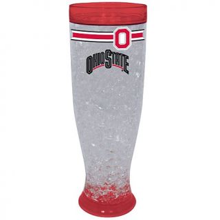 NCAA Sports Team Ice Pilsner Glass