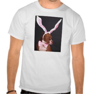 Playgirl's center fold shirts