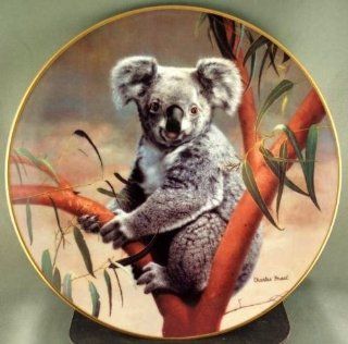 Koala by Charles Frace' Nature's Lovables Collectible Plate  Commemorative Plates  
