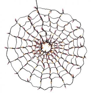Halloween Indoor/Outdoor Spider Web Net with Multicolor Chasing Lights