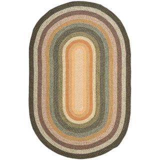 Safavieh Braided 6 ft x 9 ft Oval Multicolor Transitional Area Rug