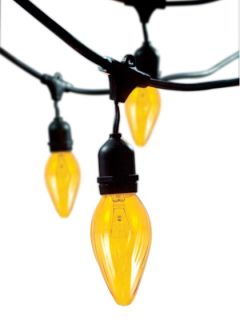 Outdoor String Fiesta Bulbs Light Fixture by Bulbrite