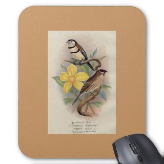 Frohawk   Bicheno's Finch & Cherry Finch Mouse Mats