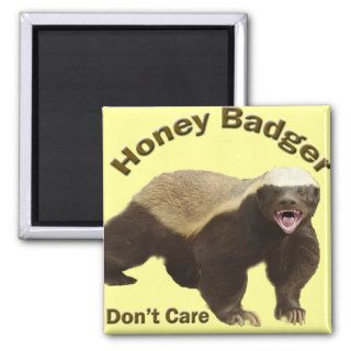 honey badger don't care magnet