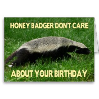 Honey Badger Birthday Greeting Cards