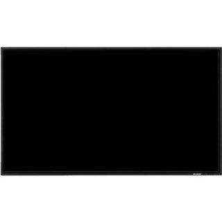 PNE471RP 47" 1920 x 1080 12001 Landscape/portrait Widescreen LCD Display with Protective Overlay Computers & Accessories