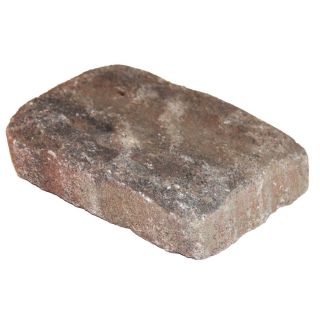 allen + roth Luxora Ashland Countryside Patio Stone (Common 6 in x 9 in; Actual 5.8 in H x 8.8 in L)
