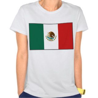 Mexico Flag x Map T Shirt Shirts