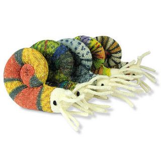 woolly ammonite by junior geo