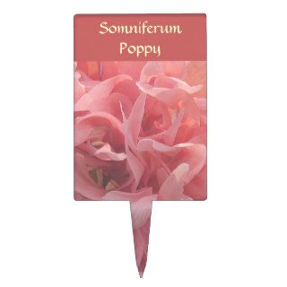 Somniferum Poppy Garden Marker Cake Picks
