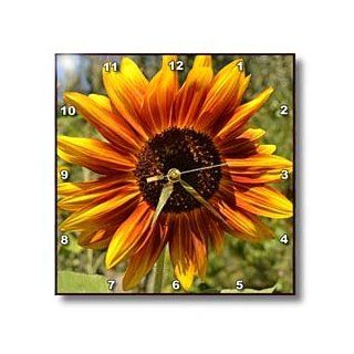 dpp_30794_1 Patricia Sanders Flowers   Orange and Yellow Summer Sunflower Flowers   Wall Clocks   10x10 Wall Clock  