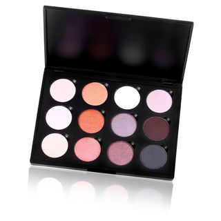 Shany Everyday Natural Look 12 Color Eyeshadow Palette Shany Cosmetics Eyes