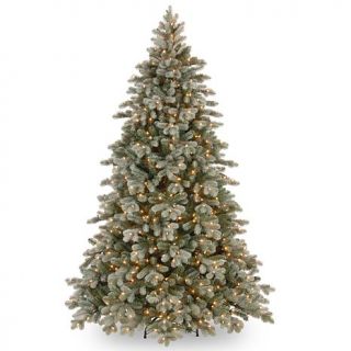 7.5 ft. FEEL REAL® Frosted Colorado Spruce Tree with Clear Lights