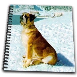db_503_1 Dogs Saint Bernard   Saint Bernard   Drawing Book   Drawing Book 8 x 8 inch