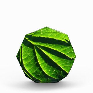 Cool green leaf awards