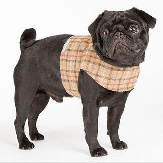 soft tweed dog harness by mutts & hounds