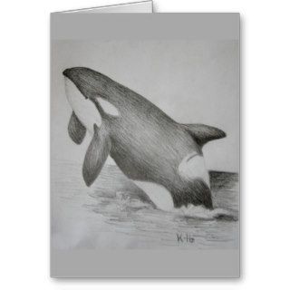 Orca Killer Whale Sketch Notecards Card