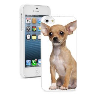 Apple iPhone 4 4S 4G White 4W538 Hard Back Case Cover Color Cute Light Brown Chihuahua Puppy Dog Cell Phones & Accessories