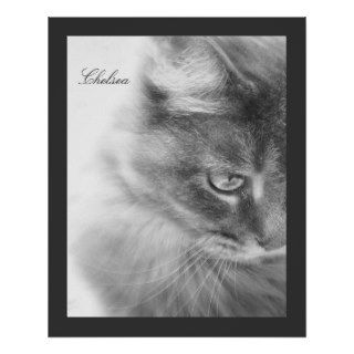 "Chelsea" Cat Portrait Poster