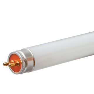 GE 8 Watt 12 in Cool White Fluorescent Light Bulb