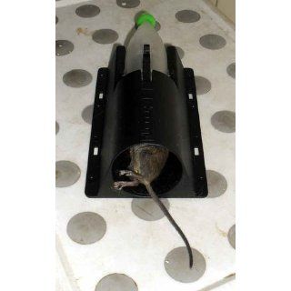 Nooski Mouse Trap, Reusable Ring Trap, Safer, Cleaner, Easier  Rodent Traps  Patio, Lawn & Garden