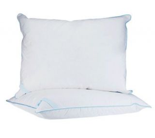Northern Nights Set of 2 STD White Goose Microfeather Pillows —