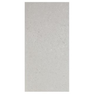 Interceramic 8 Pack Barcelona II Light Grey Thru Body Porcelain Floor Tile (Common 12 in x 24 in; Actual 11.81 in x 23.69 in)