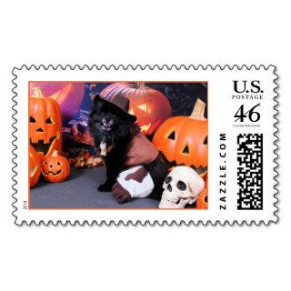 Halloween   Pomeranian   Cody Postage Stamps