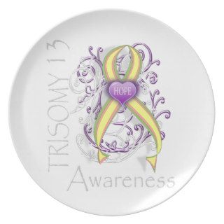 Trisomy 13 Awareness Dinner Plates