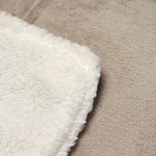 Bright Solids Sherpa Decorative Throw Blanket