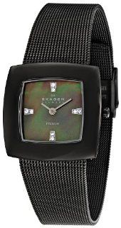 Skagen Women's SK570STTM Titanium Black Mother Of Pearl Dial Watch at  Women's Watch store.