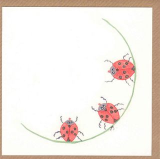animals and bugs greetings cards by elizabeth j.