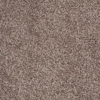 Shaw 7L53100706 Brown Textured Indoor Carpet